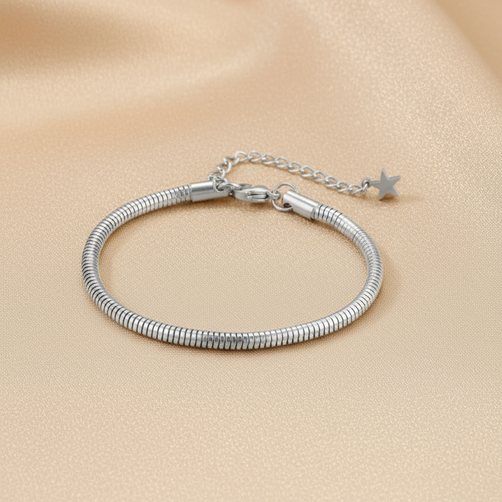 Women's Simple Stainless Steel Snake Chain Bracelet